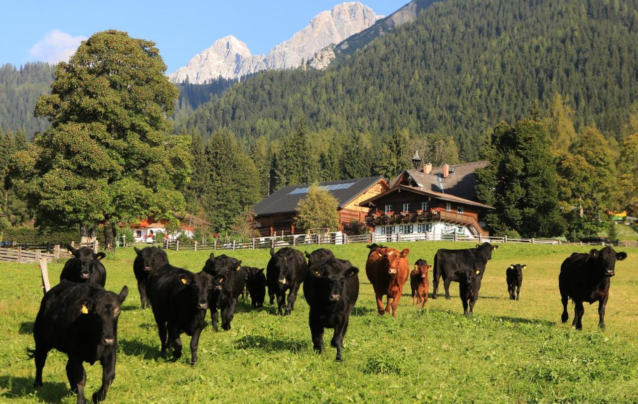 Hotel Laerchenhof Ramsau am Dachstein Ngoại thất bức ảnh